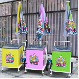 Commercial ice cream trolley freezer for street vendors